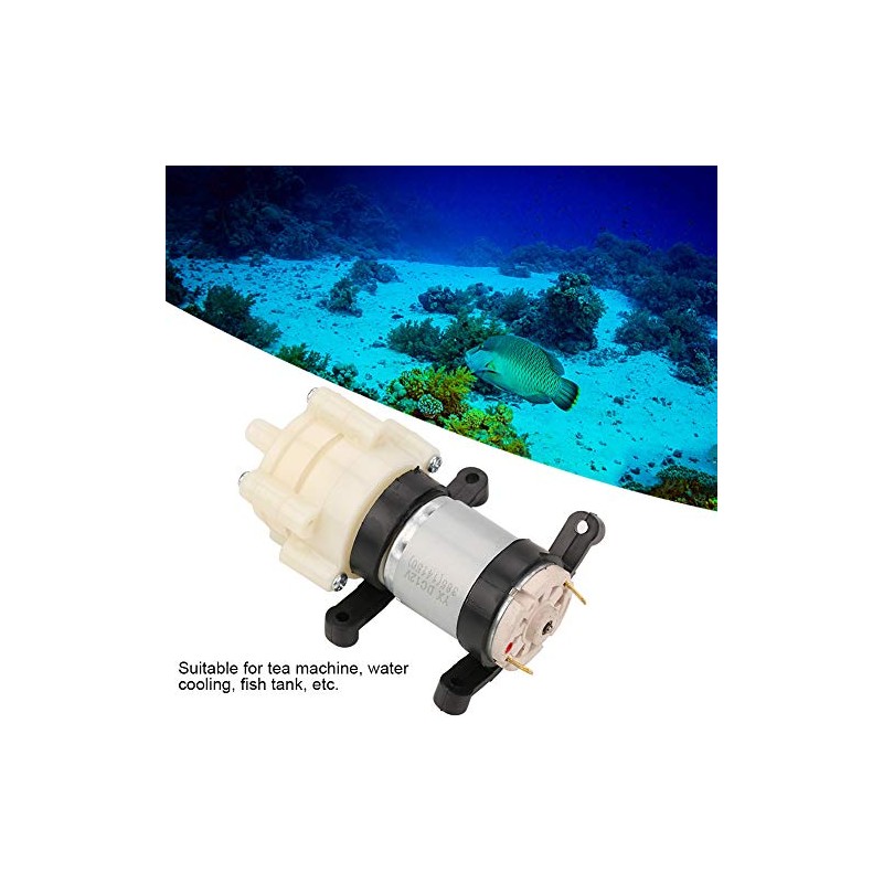Bomba de Agua con Mini Diafragma