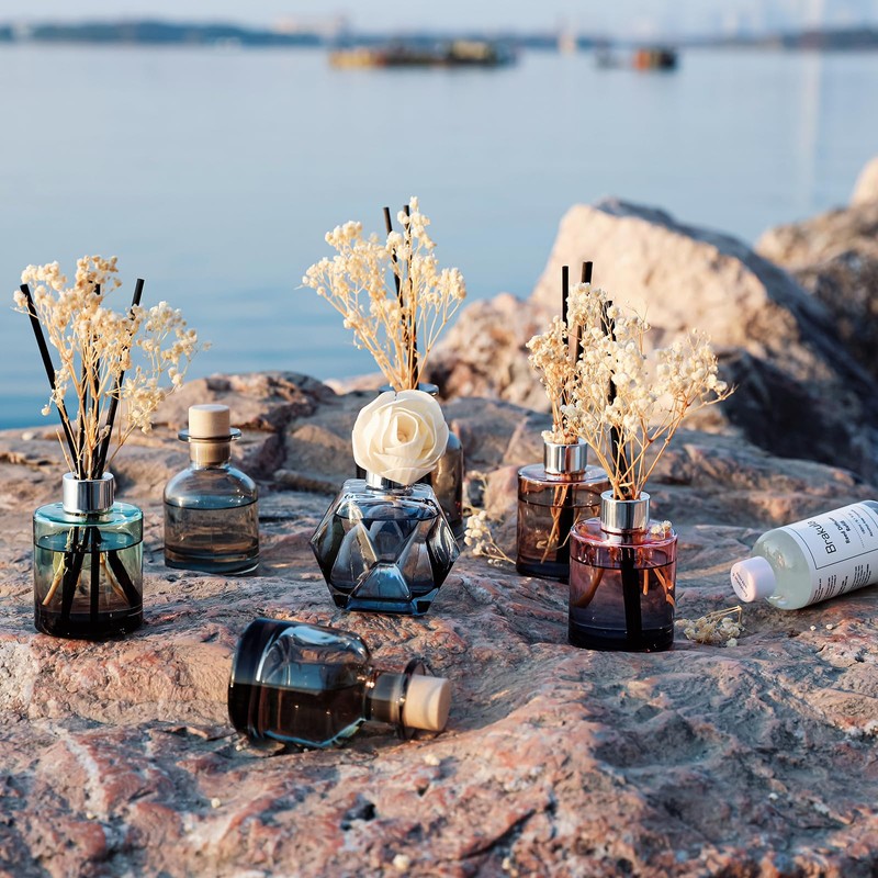 Brakula Reed Diffuser Set, 6.09 fl oz (180 ml)-Eucalyptus &