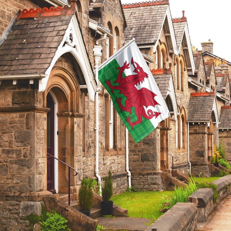 Welsh Flag Tartan - Wales Flag - Wales Dragon -