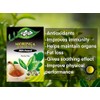 Dalgety Moringa with Green Tea Herbal Infusion 40g Cartons 100%