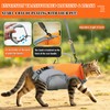 BAMY 2 in 1 Cat Shoulder Carrier, Outdoor Small Dog