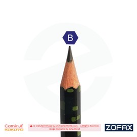 Camlin KOKUYO Graded Drawing Pencils Combo Pack Finest Crystalline Graphite Lead Draw Sketch Tone Write Shade (10 x B Grade Pencils + 1 x ZOFAX Black Ball Pen)