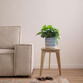 TeakAura Teak Shower Stool, 17'' Shower Foot Rest for Shaving Legs, Waterproof Teak Shower Seat, Corner Shower Bench, Wooden Step Bench, Organizer Stool, Plant Stand for Living Room Bathroom