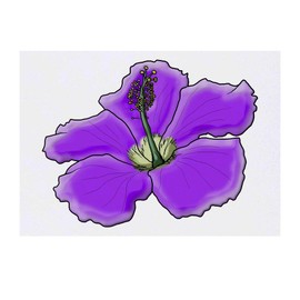 'Purple Hibiscus Flower' Temporary Tattoo - Water Resistant, Skin-Safe, Non-Toxic Transfer (TO00040888)
