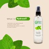 GreenHealth Spearmint Hydrosol (Floral Water) - 32 fl oz Plastic