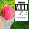 Mozi Sports Wind Cricket Balls - Indoor & Outdoor Soft