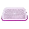 Topyond 2Pcs Double Layer Hydroponics Seedling Tray - Purple -