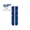 Stance 01004 DODGERS ROAD OTC BLUE Socks, Blue (01004), L