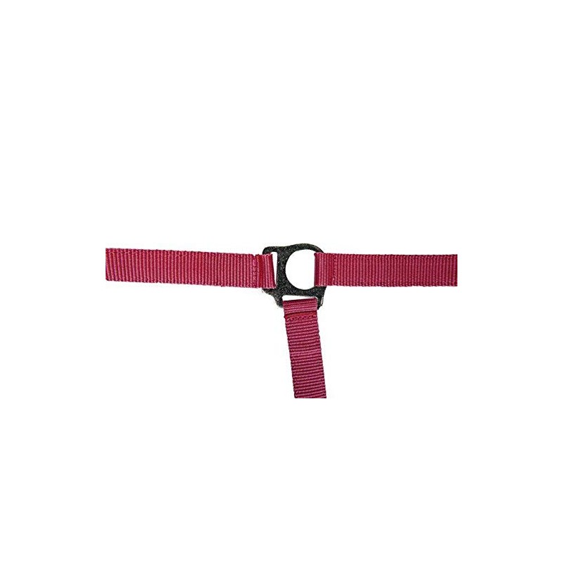 HKM Headcollar Stars Economy Softice Neon Pink Pony