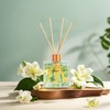 L'odeur Vill Reed Diffuser Set/Jasmine & Lily/3.38 fl.oz（100ML）/1 Pack with