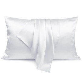 LULUSILK White Silk Pillow Case Queen Size with Hidden Zipper, 100 Pure Mulberry Silk Pillowcase for Hair and Skin, Pack of 1
