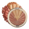 Rubor Milani Color Harmony Blush Palette 02 Bronze Burst