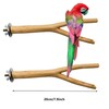 Allazone 7 PCS Natural Parrot Perch Bird Stand Fork Parakeet
