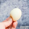 Magic Magic Egg, White Eggs, Pigeons, 2.4 inches (6 cm),