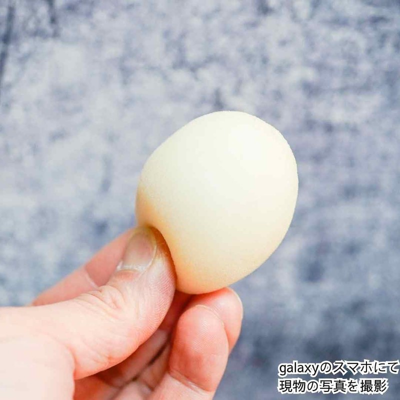 Magic Magic Egg, White Eggs, Pigeons, 2.4 inches (6 cm),