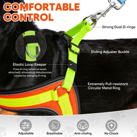 Light Up Dog Harness,Lighted Harness,LED Reflective No Escape Dog Harness with Durable Buckle Rechargeable Dog Lights for Night Walking,with Double Traction D-Ring-Orange-Glow Green