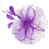 Cizoe Fascinators Hat for Women Tea Party Headband Kentucky Derby