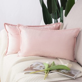 MADIZZ Set of 2 Super Soft Velvet Decorative Throw Pillow Covers 12x20 inch Light Pink Rectangular with Fringe Luxury Style Cushion Case Pillow Shell for Sofa Bedroom