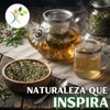 Xenivalle Pasiflora 500g Natural para Infusiones, Ts, Mezclas Herbales y