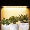 LED Plant Growth Light Board Full Spectrum Supplement Light for
