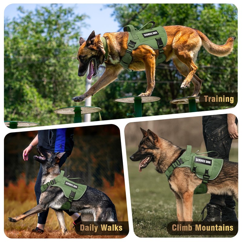 WINSEE Tactical Dog Harness for Large Dog, Heavy Duty Service