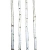 Four Thin White Birch Poles 6 ft