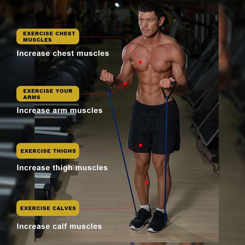 Pack of 5 Resistance Bands, CHSEROK Resistance Bands, Strength Training,