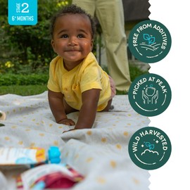 Babylife Organics Stage 2 Organic Baby Food - Carrot, Apple & Banana, 3.5 Ounce Pouch (6 Pack)