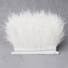 Nicole Knupfer - Nastro con piume di struzzo, strisce di