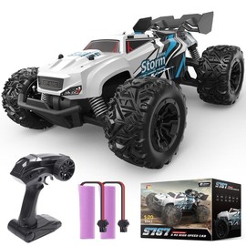 DEERC RC Car Remote Control Car for Age 8-12, All Terrain RC Monster Truck W/ 2 Batteries for 40 Min Play, 2.4GHz Outdoor Off Road Rock Crawler Toy Xmas Gift for Boys Girls Kids Beginners - Color: S767-Eagle