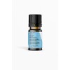 Nature's Basket Patchouli Essential Oil - 15 Ml