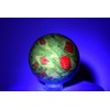 HQRP Professional 365 nM 9 LED Flashlight Blacklight for Rocks