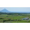 Suisunen Suisenen Honpo Organic Roasted Roasted Tea TB30p, Kagoshima Prefecture,