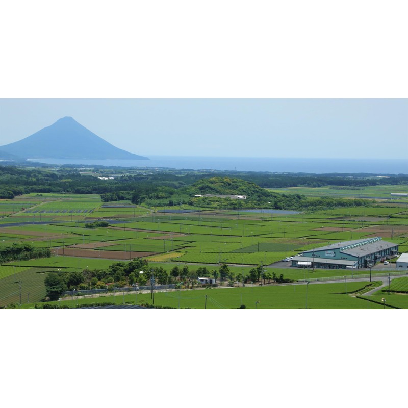 Suisunen Suisenen Honpo Organic Roasted Roasted Tea TB30p, Kagoshima Prefecture,