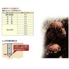 Onishi Industrial Shiitake Cone (High Speed Half Moon Type) (NO.32)