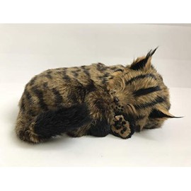 Perfect Petzzz Maine Coon Cat The Original Breathing Pet New Huggable