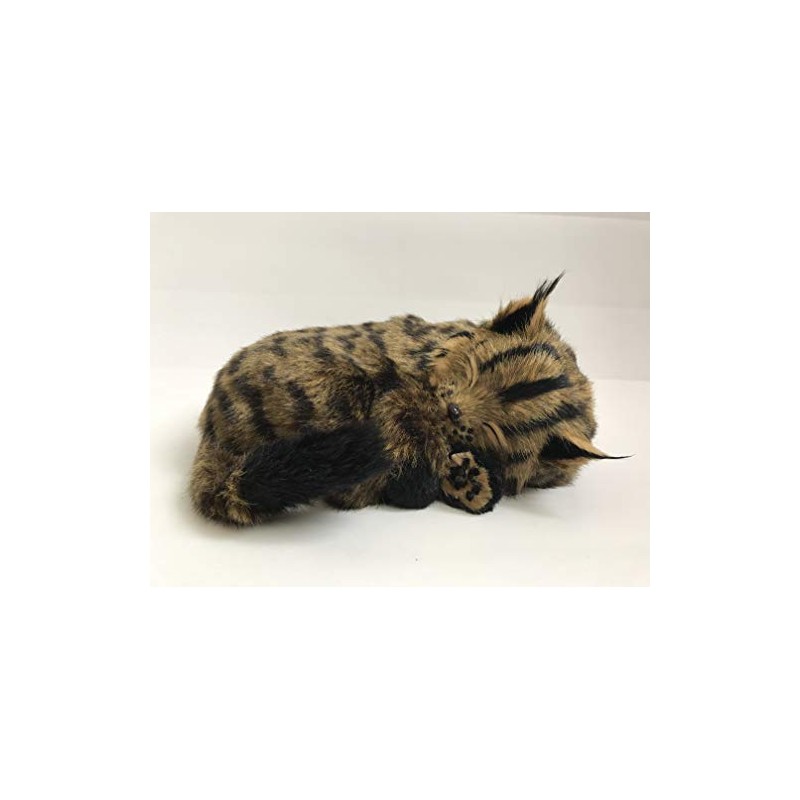Perfect Petzzz Maine Coon Cat The Original Breathing Pet New