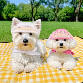 BT Bear Hundehut, Spitzenstrohhut, Baseballkappe, Haustier-Sonnenschutz für Katzen, Welpen, kleine, mittelgroße Hunde, Weiß, Größe M