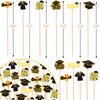 120PCS Graduation Cocktail Picks Class 2025 Graduation Toothpicks For Appetizers