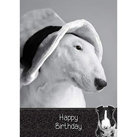 English Bull Terrier Dog Birthday Card