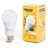 Sunsy Shine - foco de luz solar de espectro completo