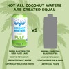 C2O - Coconut Water with Pulp (24 Pack, 3 Boxes