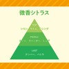 CARALL(カーオール) 晴香堂 車用 芳香剤 柿渋消臭 置き型 微香シトラス 100g 3014