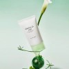 Skin1004 스킨1004 마다가스카르 센텔라 티트리카 B5 크림 (리뉴얼) 75ml Skin1004