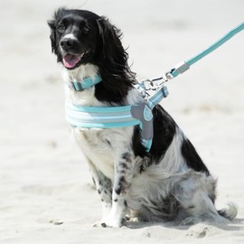 HUGO & HUDSON Easy Walk Dog Harness Adjustable No-Pull Step-in Training Vest, Aqua, Size 2