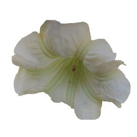 IDA Brugmansia Angels Trumpet Live Tropical Plant Cream White Green Fragrant Flower Starter Size 4 Inch Pot Emeralds TM