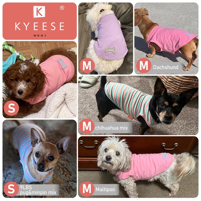 KYEESE Paquete de 2 Camisetas A Rayas para Perros, Suaves,