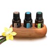 Essential Oils Storage Box, 3 Holes Essential Oil Display Stand,