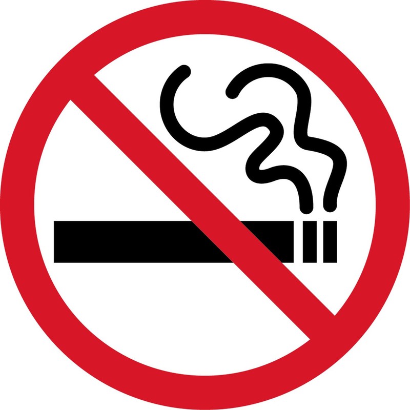 CafePress No Smoking Rectangle Bumper Sticker Car Decal