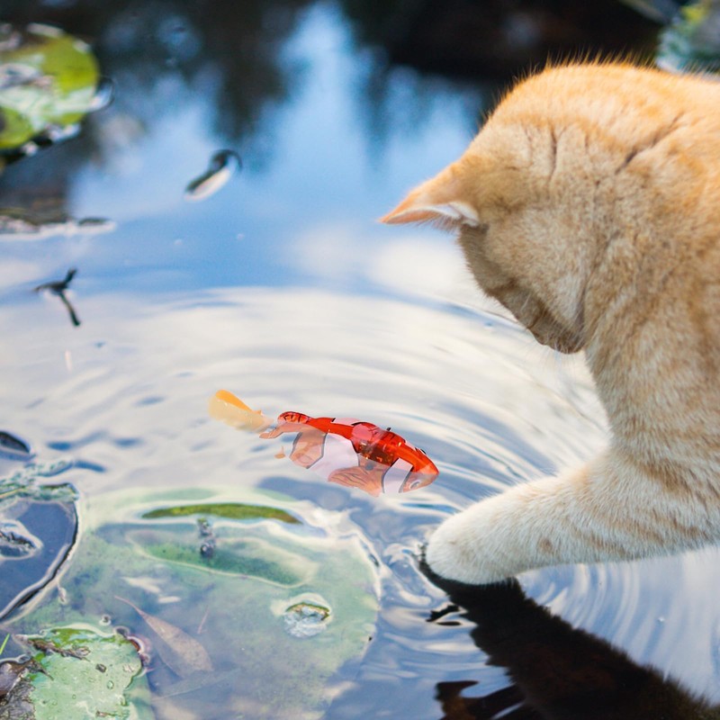 Robo Fish, Robotic Fish Toy with Cat Pool, Swimming Fish